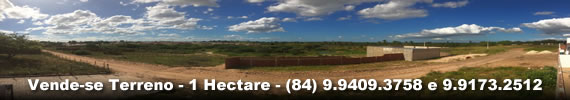 Vende-se terreno de 1 hectare