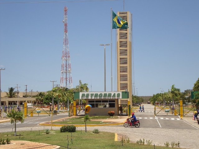 78131656-00.jpg