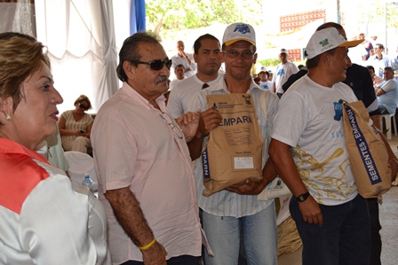 adecio-1.jpg adecio-1.jpg