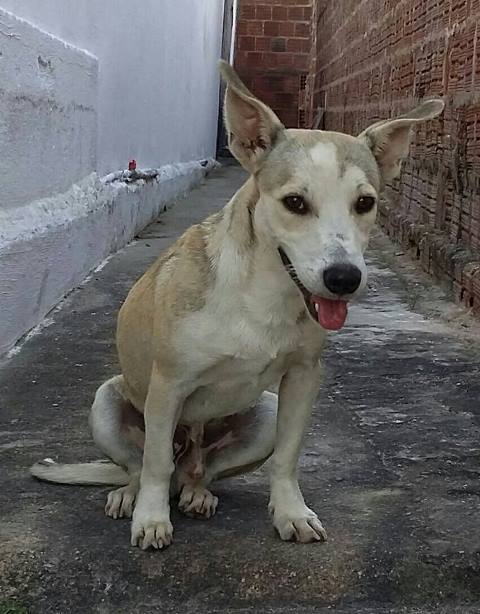 estou-perdido.jpg-00.jpg