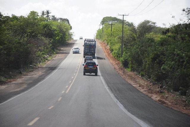 estrada-01.jpg