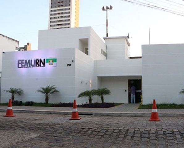 femurn2.jpg-00.jpg