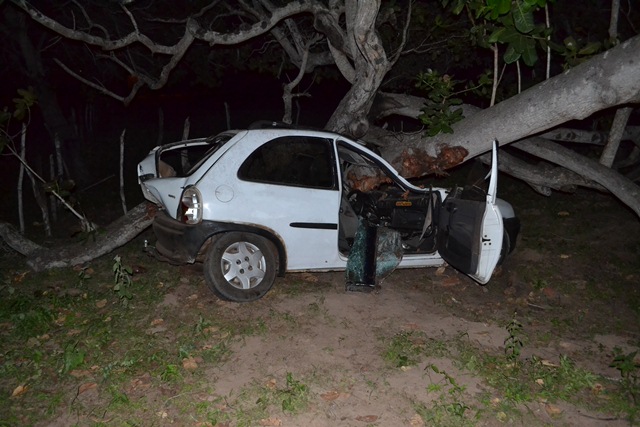 irmão-05.jpg irmão-05.jpg