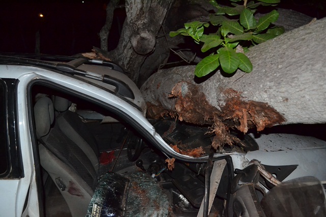 irmao-06.jpg irmao-06.jpg