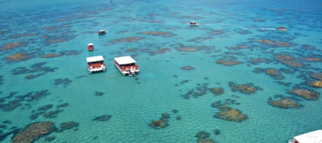 maracajau.jpg-00.jpg