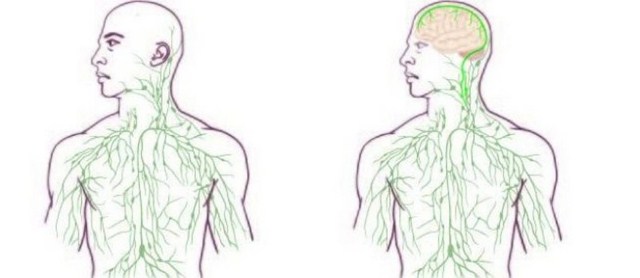 neurologia-00.jpg neurologia-00.jpg