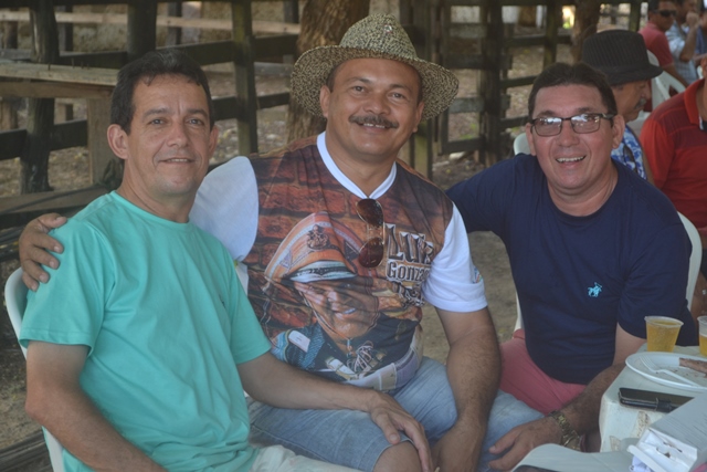 niver-nuto-14.jpg