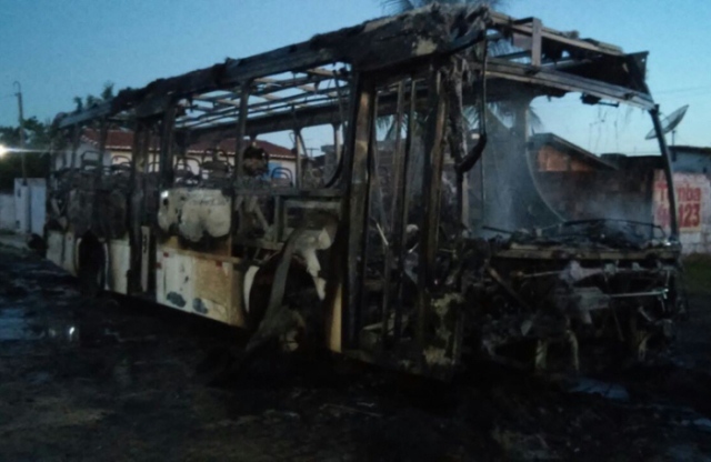 onibus-00.jpg