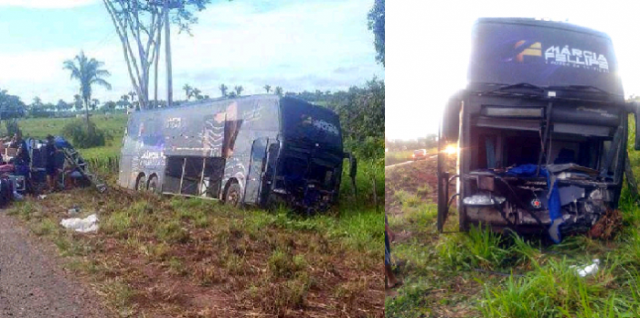 onibusbanda-02.png