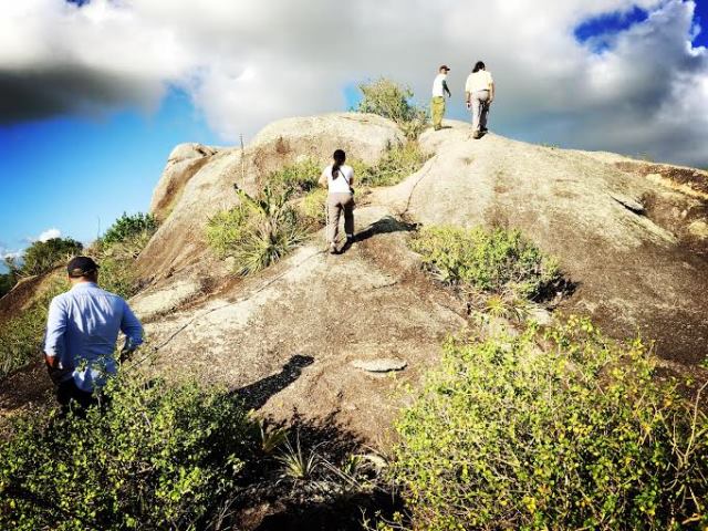palaoalalo-01.jpg