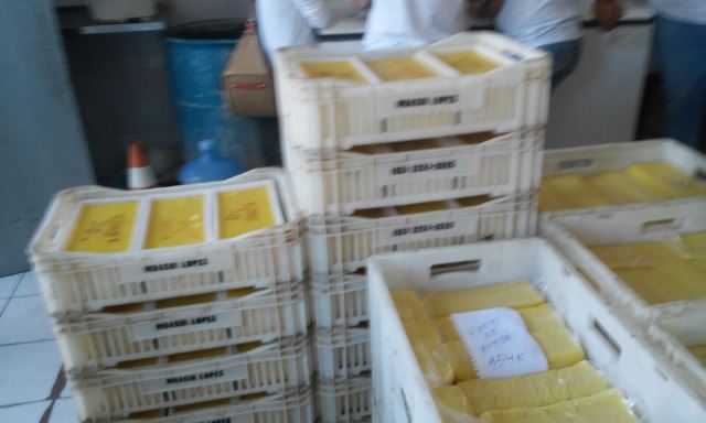 queijo.jpg
