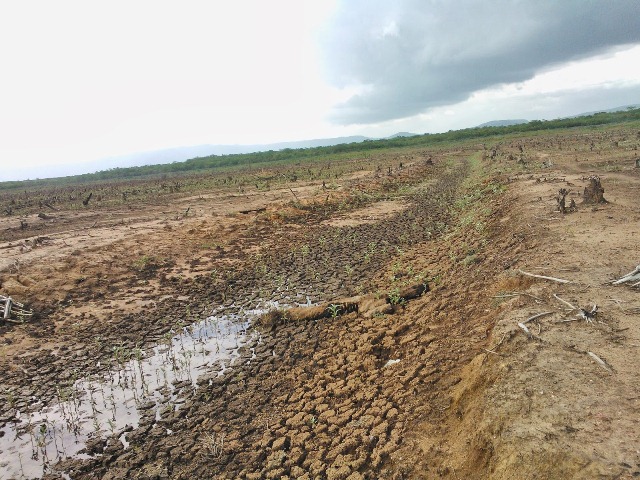 seca-00.jpg seca-00.jpg