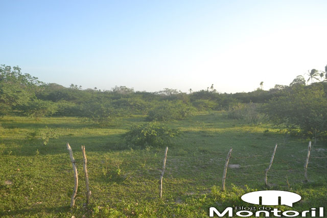 sitio-10.jpg