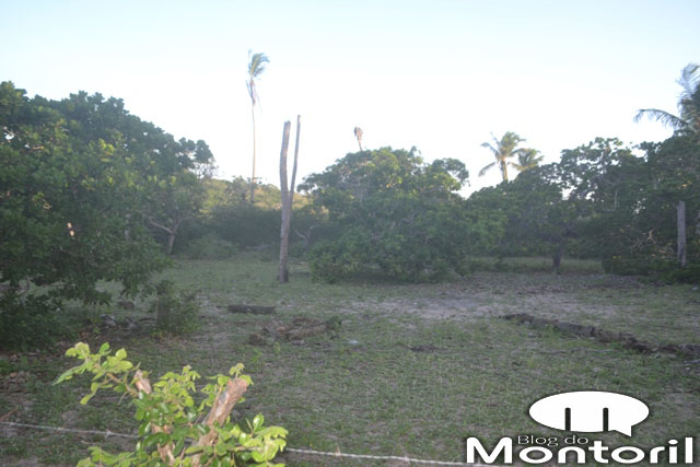 sitio-11.jpg