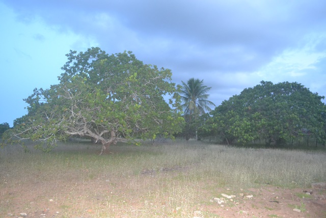 sitio-matao-02.jpg