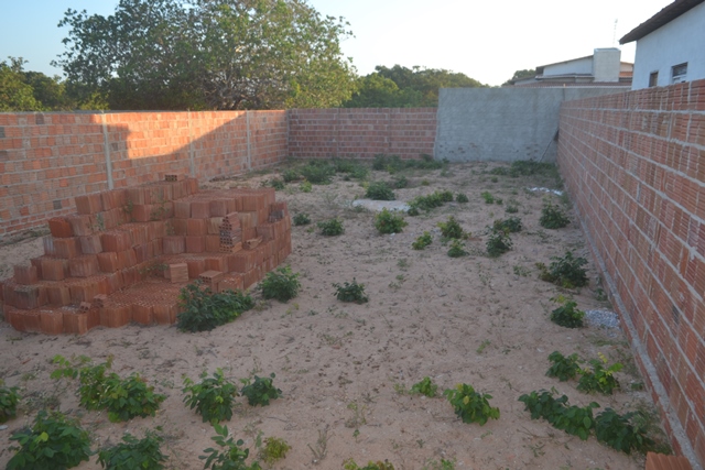 terreno-miguel-vicente.jpg