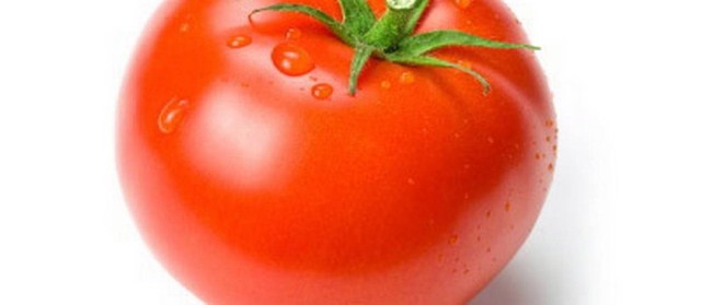 tomate-00.jpg