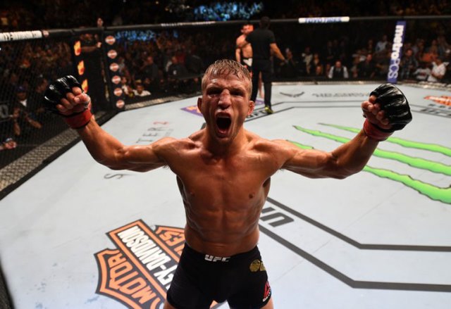 ufc-00.jpg