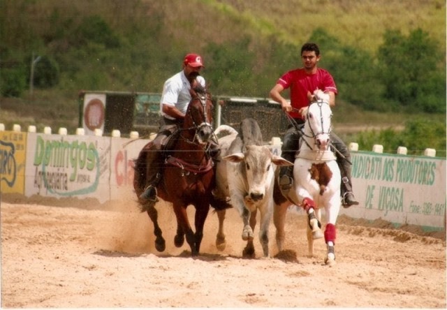 vaquejada-01.jpg