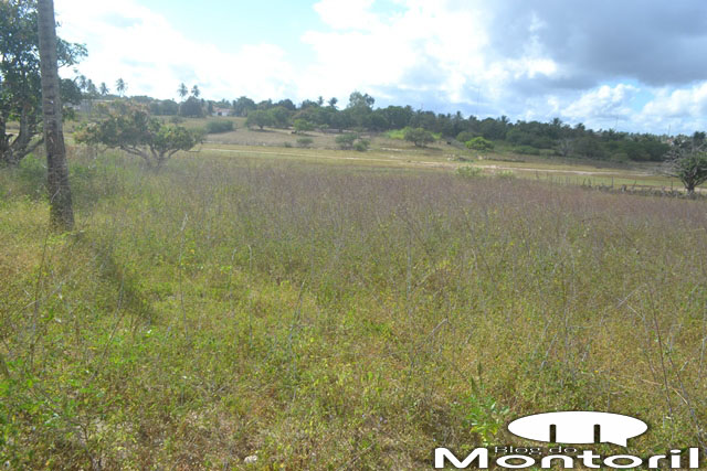 vende-se-sitio-12.jpg
