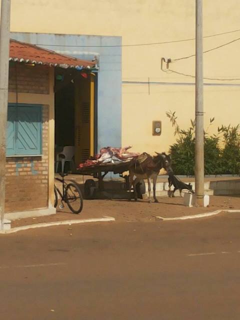 vergonha.jpg-00.jpg