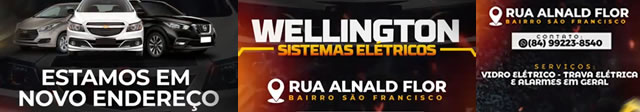 WELLINGTON SISTEMAS ELETRICOS